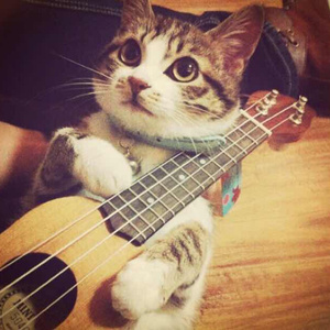 521香蕉在线观看视频
